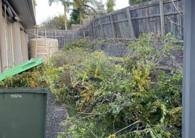 Side of a home in Logan (Brisbane" cluttered with garden waste