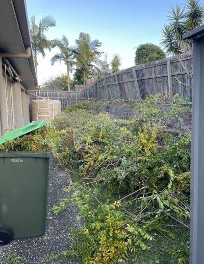 Side of a home in Logan (Brisbane" cluttered with garden waste